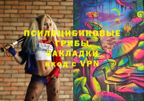 гидра Заволжск