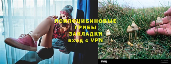 гидра Заволжск