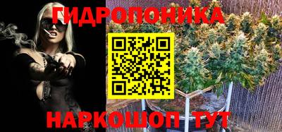 амф Ливны