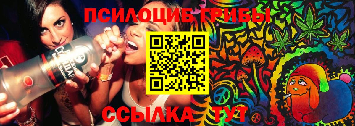 Камень-на-Оби  Псилоцибиновые грибы Psilocybe  Вход с VPN 